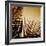 Light on Palms III-Malcolm Sanders-Framed Giclee Print