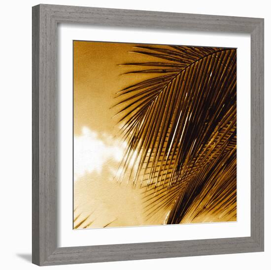 Light on Palms IV-Malcolm Sanders-Framed Giclee Print