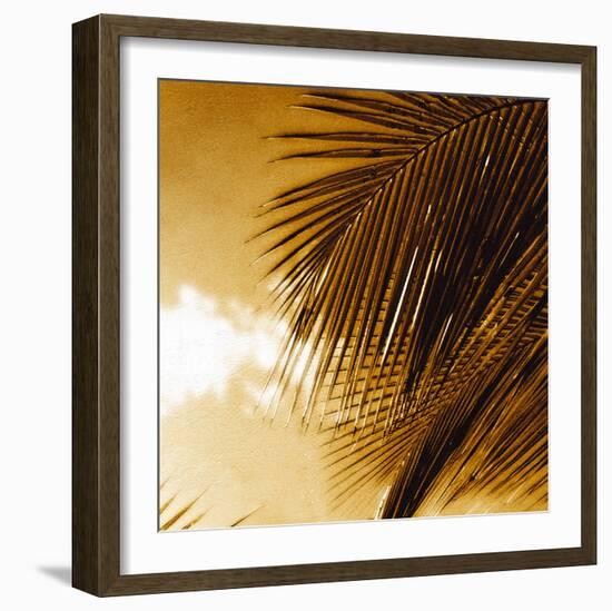 Light on Palms IV-Malcolm Sanders-Framed Giclee Print