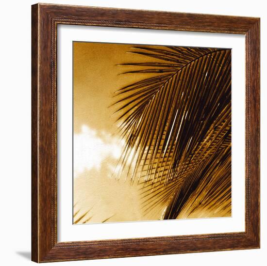 Light on Palms IV-Malcolm Sanders-Framed Giclee Print