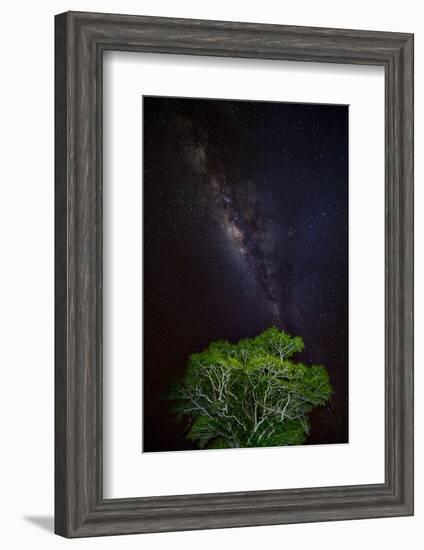 Light painted tree in the foreground with the Milky Way Galaxy in the Pantanal, Brazil-James White-Framed Photographic Print