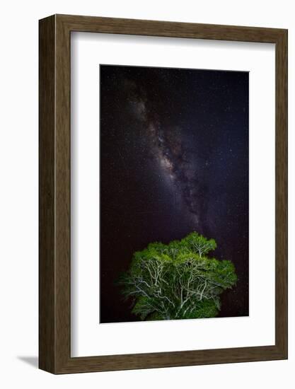 Light painted tree in the foreground with the Milky Way Galaxy in the Pantanal, Brazil-James White-Framed Photographic Print