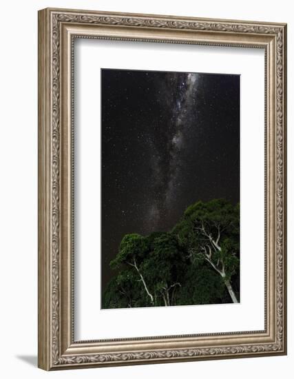 Light painted tree in the foreground with the Milky Way Galaxy in the Pantanal, Brazil-James White-Framed Photographic Print