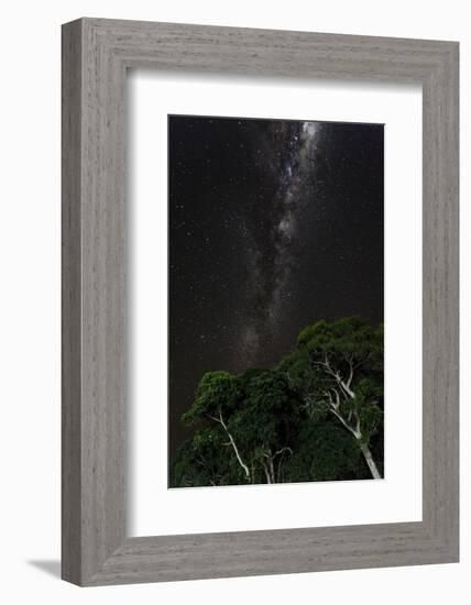 Light painted tree in the foreground with the Milky Way Galaxy in the Pantanal, Brazil-James White-Framed Photographic Print