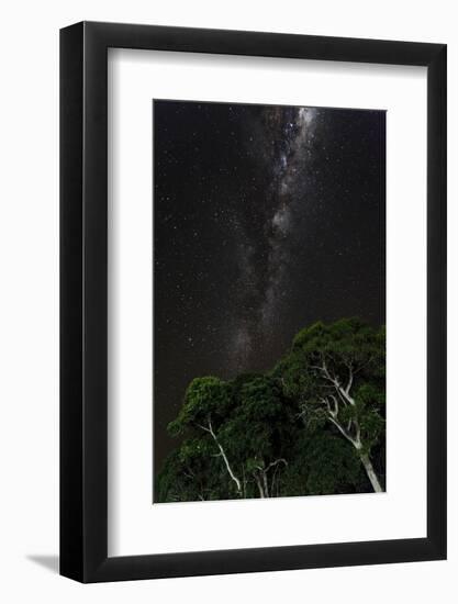 Light painted tree in the foreground with the Milky Way Galaxy in the Pantanal, Brazil-James White-Framed Photographic Print