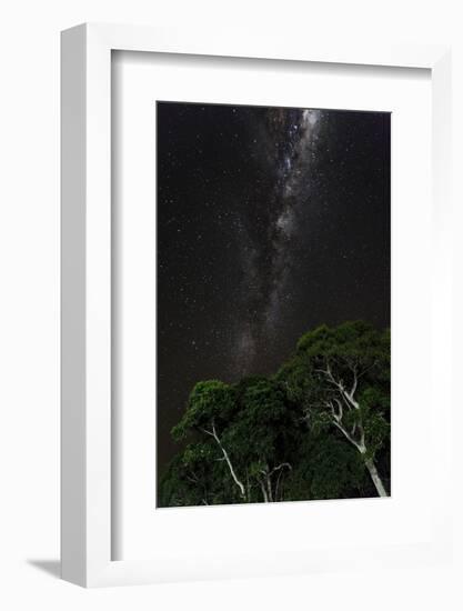 Light painted tree in the foreground with the Milky Way Galaxy in the Pantanal, Brazil-James White-Framed Photographic Print