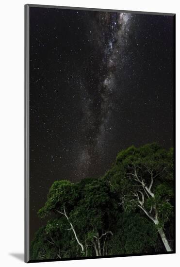 Light painted tree in the foreground with the Milky Way Galaxy in the Pantanal, Brazil-James White-Mounted Photographic Print