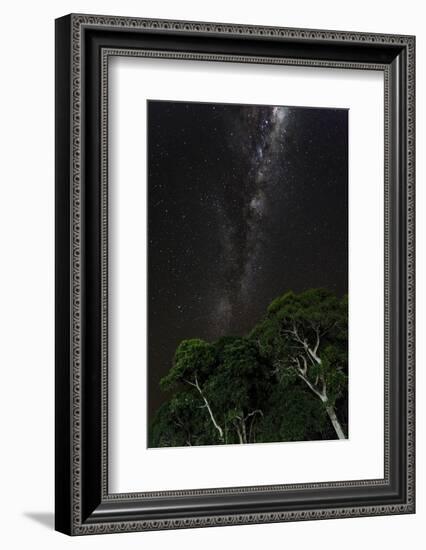 Light painted tree in the foreground with the Milky Way Galaxy in the Pantanal, Brazil-James White-Framed Photographic Print