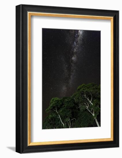 Light painted tree in the foreground with the Milky Way Galaxy in the Pantanal, Brazil-James White-Framed Photographic Print