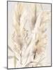 Light Pampas Grasses II-Katrina Pete-Mounted Art Print