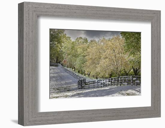 Light snow on trees in early spring, Louisville, Kentucky-Adam Jones-Framed Photographic Print