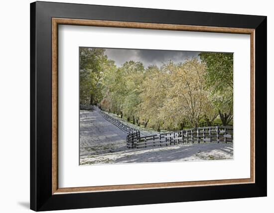 Light snow on trees in early spring, Louisville, Kentucky-Adam Jones-Framed Photographic Print