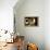 Light Streaming Through Window on Sand Covered House in Kolmanskop Ghost Town-Enrique Lopez-Tapia-Framed Premier Image Canvas displayed on a wall