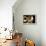 Light Streaming Through Window on Sand Covered House in Kolmanskop Ghost Town-Enrique Lopez-Tapia-Framed Premier Image Canvas displayed on a wall