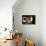 Light Streaming Through Window on Sand Covered House in Kolmanskop Ghost Town-Enrique Lopez-Tapia-Framed Premier Image Canvas displayed on a wall