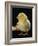 Light Sussex Hen Chick-Jane Burton-Framed Photographic Print