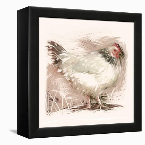 Light Sussex Hen-Tim Kahane-Framed Premier Image Canvas