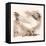 Light Sussex Hen-Tim Kahane-Framed Premier Image Canvas