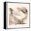 Light Sussex Hen-Tim Kahane-Framed Premier Image Canvas