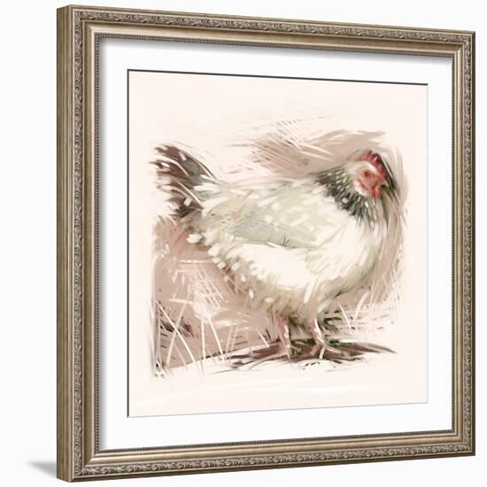 Light Sussex Hen-Tim Kahane-Framed Photographic Print