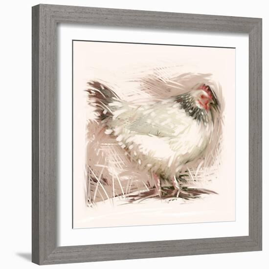 Light Sussex Hen-Tim Kahane-Framed Photographic Print