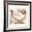 Light Sussex Hen-Tim Kahane-Framed Photographic Print