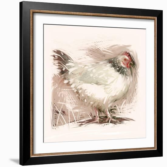 Light Sussex Hen-Tim Kahane-Framed Photographic Print