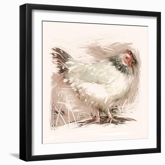 Light Sussex Hen-Tim Kahane-Framed Photographic Print