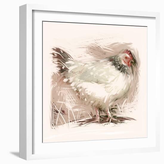 Light Sussex Hen-Tim Kahane-Framed Photographic Print