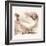 Light Sussex Hen-Tim Kahane-Framed Photographic Print