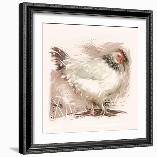 Light Sussex Hen-Tim Kahane-Framed Photographic Print