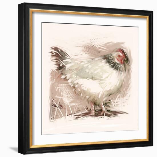 Light Sussex Hen-Tim Kahane-Framed Photographic Print