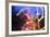 Light Trails, Traffic, Abstract, Dynamic, Rush-Hour Traffic-Axel Schmies-Framed Photographic Print