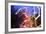 Light Trails, Traffic, Abstract, Dynamic, Rush-Hour Traffic-Axel Schmies-Framed Photographic Print