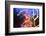 Light Trails, Traffic, Abstract, Dynamic, Rush-Hour Traffic-Axel Schmies-Framed Photographic Print