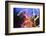 Light Trails, Traffic, Abstract, Dynamic, Rush-Hour Traffic-Axel Schmies-Framed Photographic Print