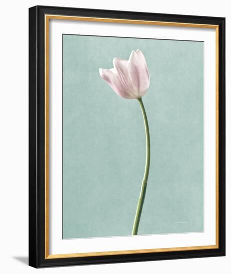 Light Tulips I Harbor Gray-Debra Van Swearingen-Framed Photo