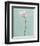 Light Tulips I Harbor Gray-Debra Van Swearingen-Framed Photo