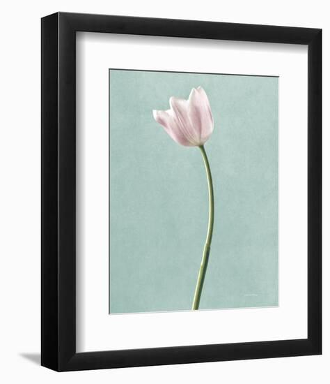 Light Tulips I Harbor Gray-Debra Van Swearingen-Framed Photo