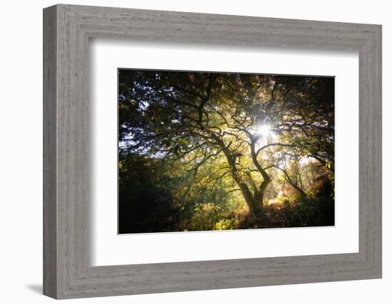 Light-Philippe Manguin-Framed Photographic Print