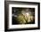 Light-Philippe Manguin-Framed Photographic Print