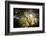 Light-Philippe Manguin-Framed Photographic Print