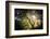 Light-Philippe Manguin-Framed Photographic Print