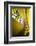 Light-Filipe P Neto-Framed Photographic Print