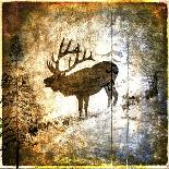 The Blue Moose - Lodge Pole Pine-LightBoxJournal-Giclee Print