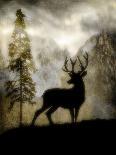 The Blue Moose - Lodge Pole Pine-LightBoxJournal-Giclee Print