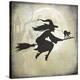 Stretched Canvas Print