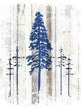 The Blue Moose - Lodge Pole Pine-LightBoxJournal-Giclee Print