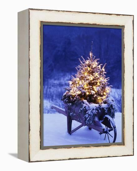 Lighted Christmas Tree in Wheelbarrow-Jim Craigmyle-Framed Premier Image Canvas