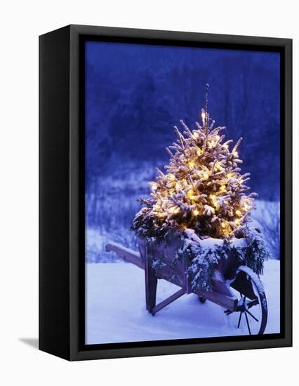 Lighted Christmas Tree in Wheelbarrow-Jim Craigmyle-Framed Premier Image Canvas